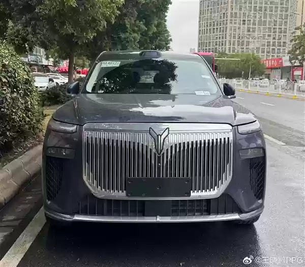 国产“迈巴赫GLS” 岚图泰山实车曝光：气场太强！