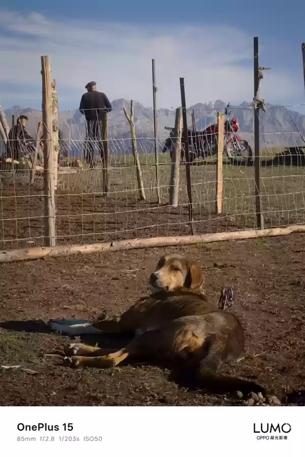 一加哈苏合作结束：一加15首次搭载OPPO LUMO凝光影像