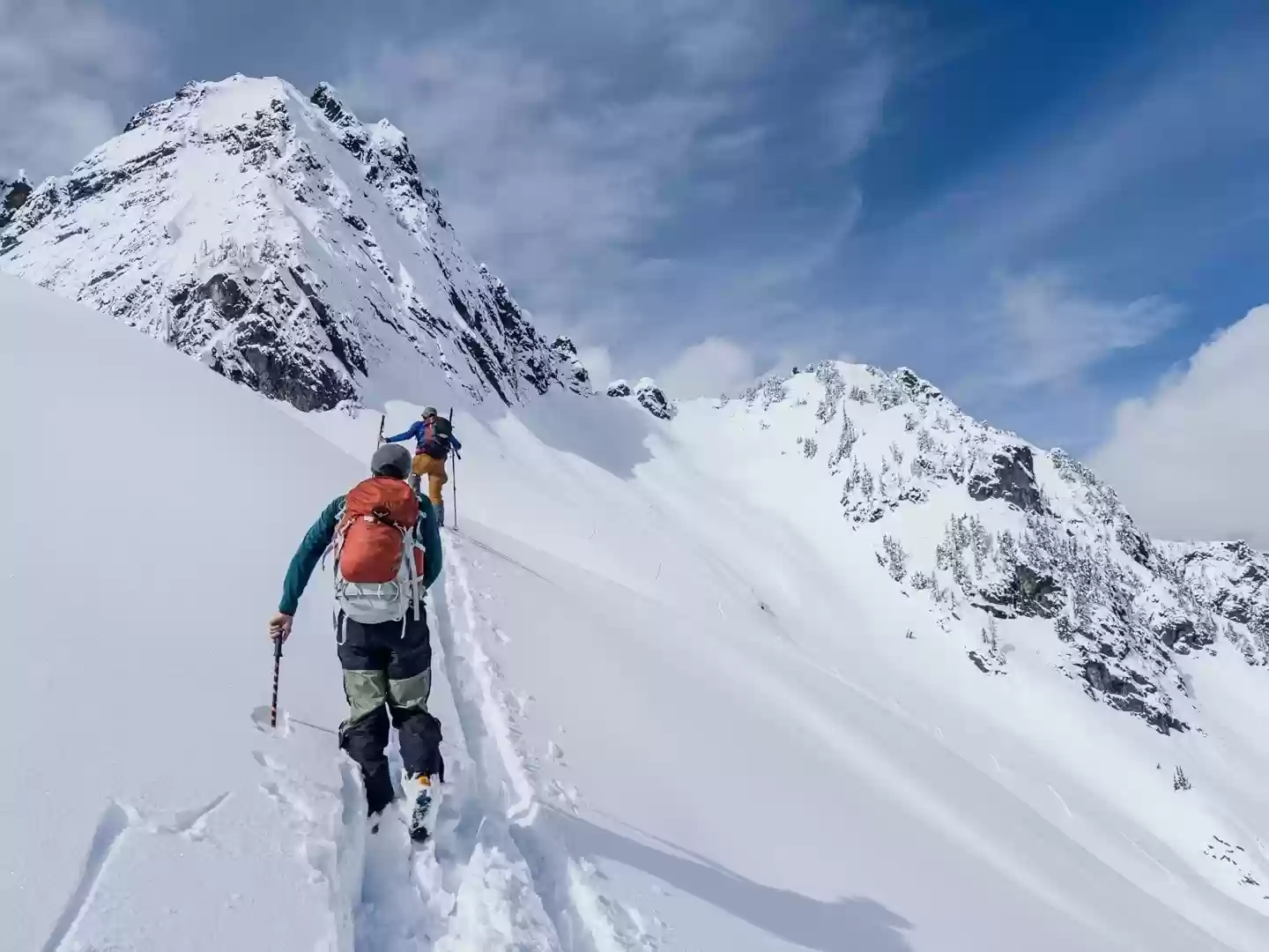 AdobeProject Indigo因iPhone 17前置摄像头兼容问题暂不支持新型号