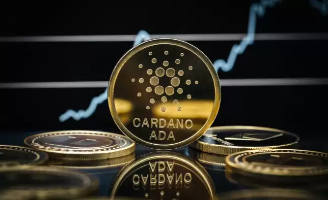 如何购买Cardano（ADA）？2025年ADA购买流程详解！ - 菜鸟下载