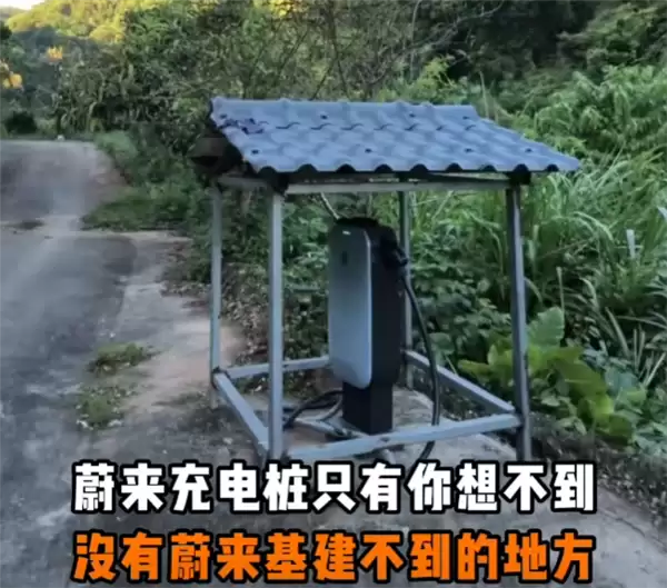 广东河源现赛博土地庙充电桩 车主自费建站引热议