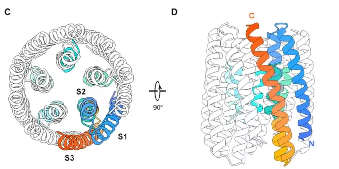 两项世界首次：我国科学家从零设计