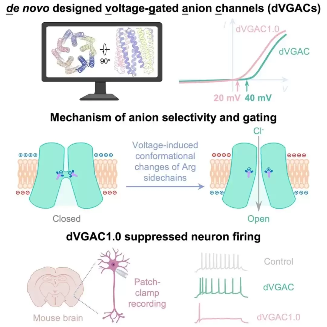 两项世界首次：我国科学家从零设计