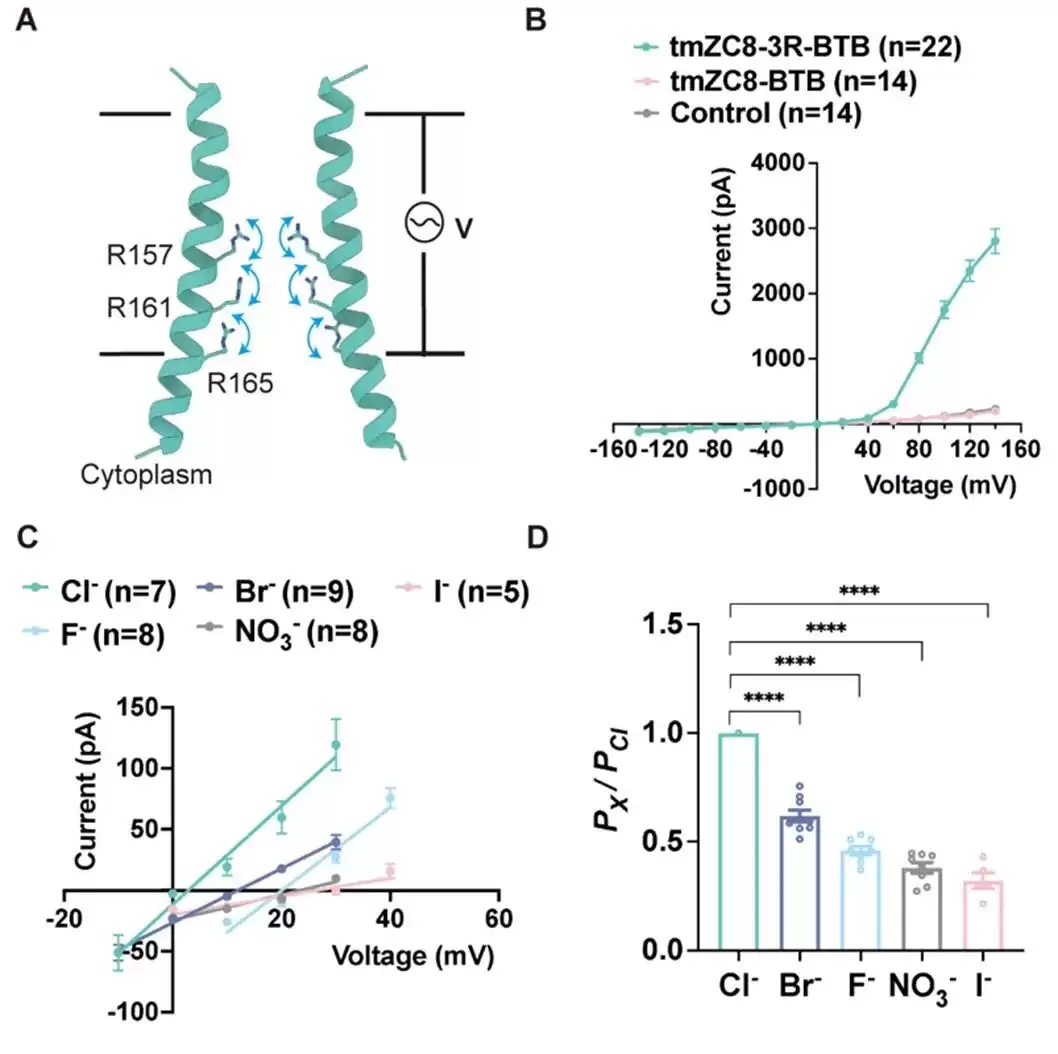 两项世界首次：我国科学家从零设计
