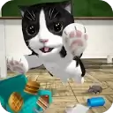 猫咪模拟器