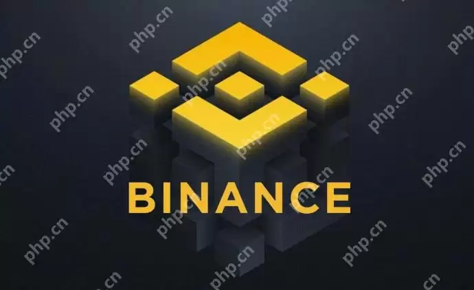 币安app手机版入口 币安官方手机版直接 - 菜鸟下载