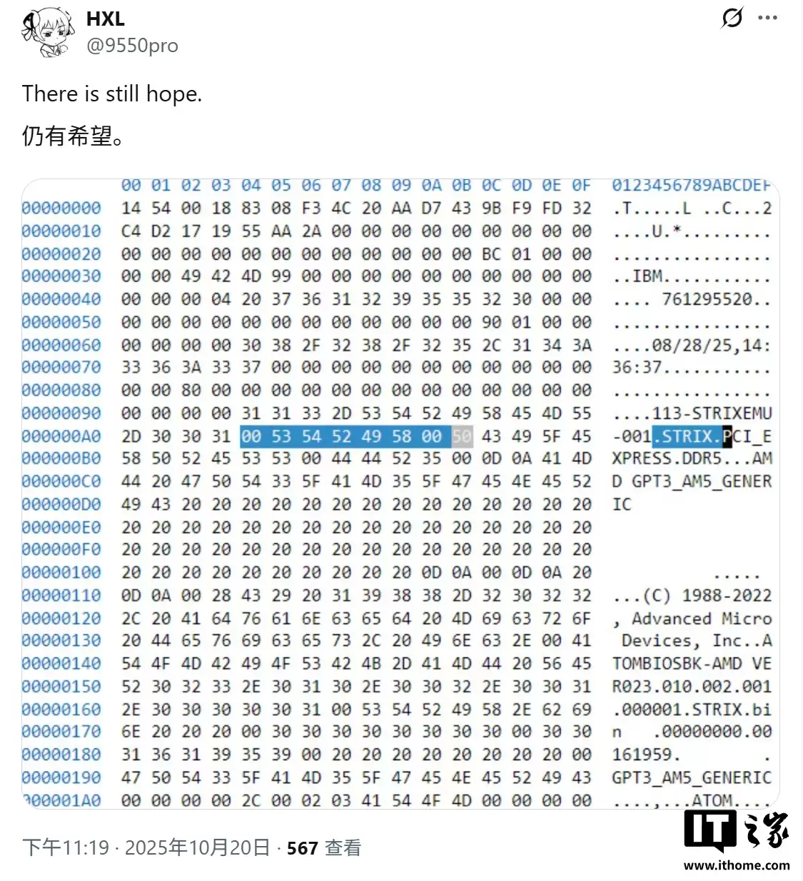 最高 12 核 24 线程,新证据表明 AMD Strix Point APU 将登陆 AM5 桌面平台