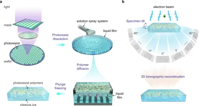 北大团队首创技术‘拍清’芯片制造核心难题,光刻胶关键步骤微观行为首度揭秘