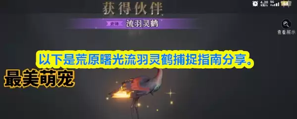 荒野曙光流羽灵鹤捕捉指南