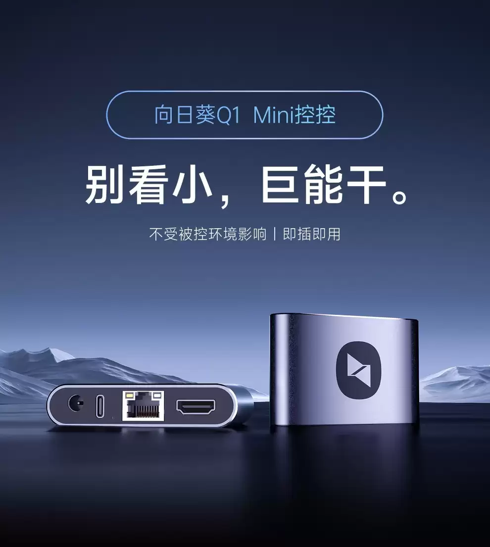 向日葵Q1域名访问指南:无需软件,一键远控