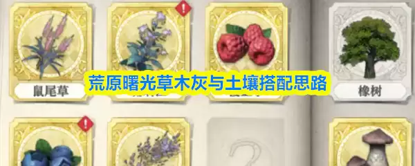 荒野曙光草木灰与土壤搭配思路