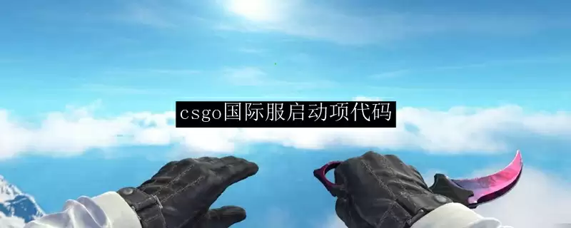 csgo国际服启动项代码