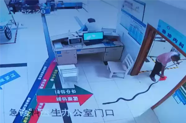 蛇伤急救示意图