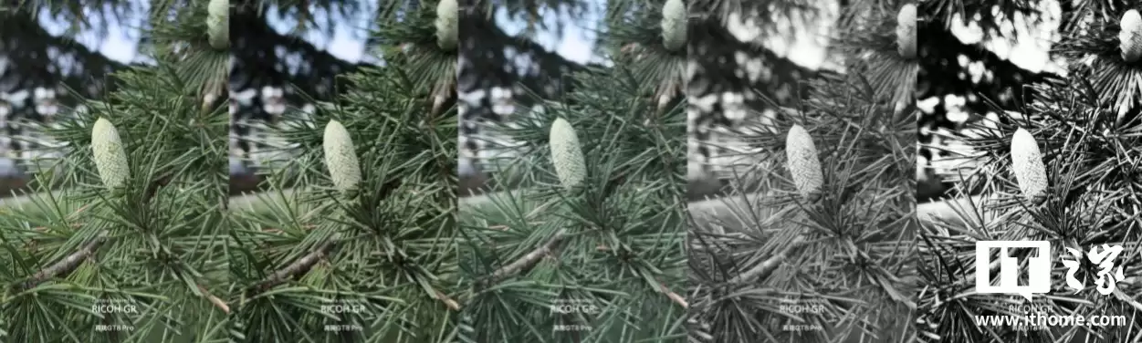 【IT之家评测室】理光 GR 影像 + 可换 Deco,真我 GT8 Pro 体验评测