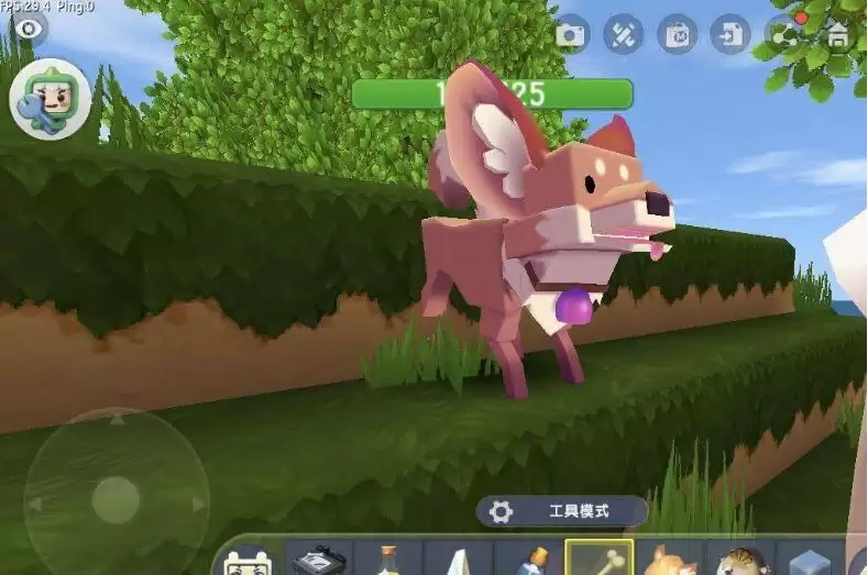 迷你世界里的狐狸怎么驯服2025年