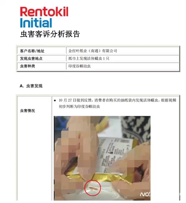 网友投诉清风未开封装抽纸发现活虫 客服回应:可将问题产品寄回公司分析