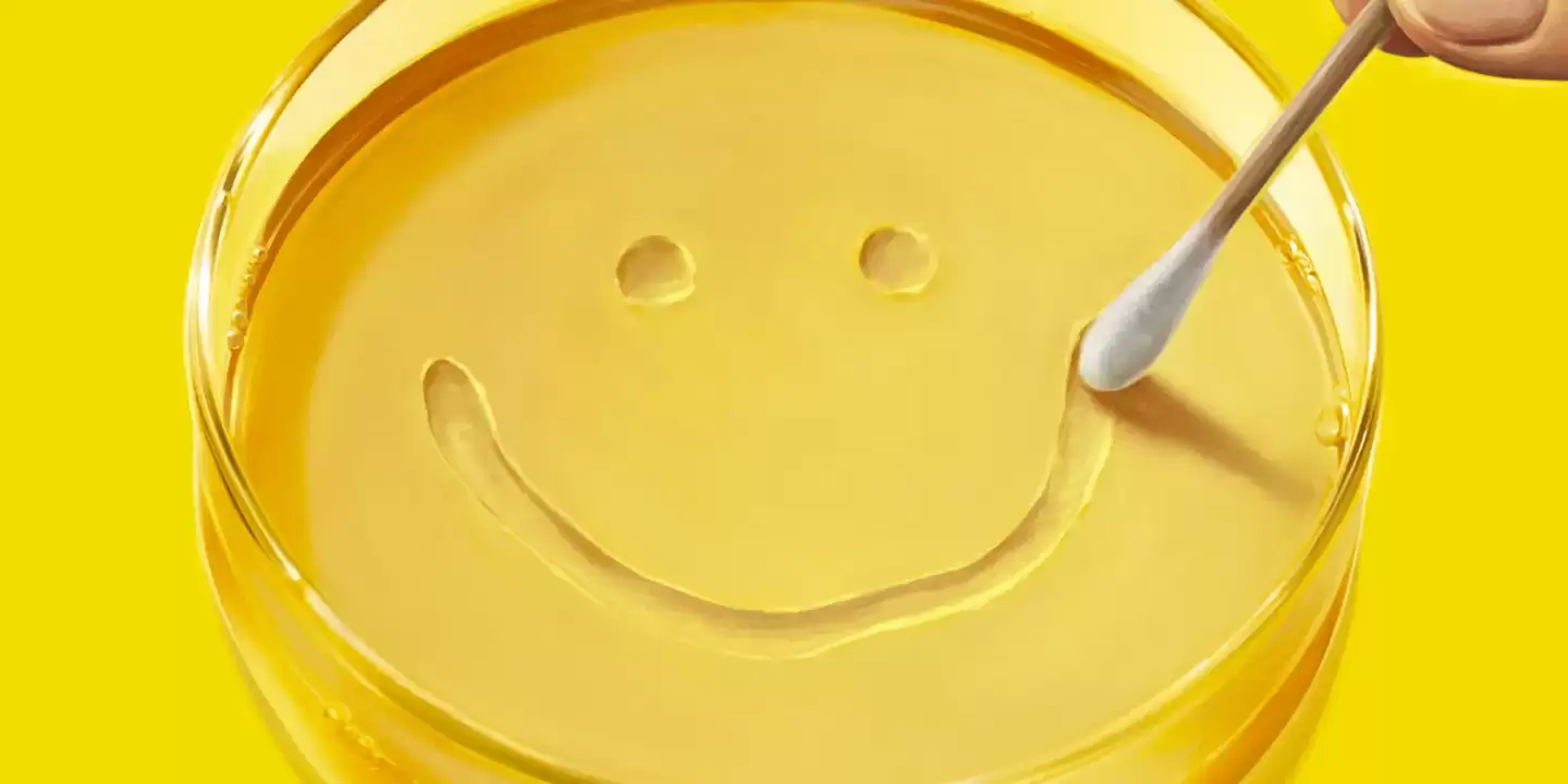 纽约时报评《绝命毒师》主创新剧《同乐者》:预算和概念是现代电视剧的天花板