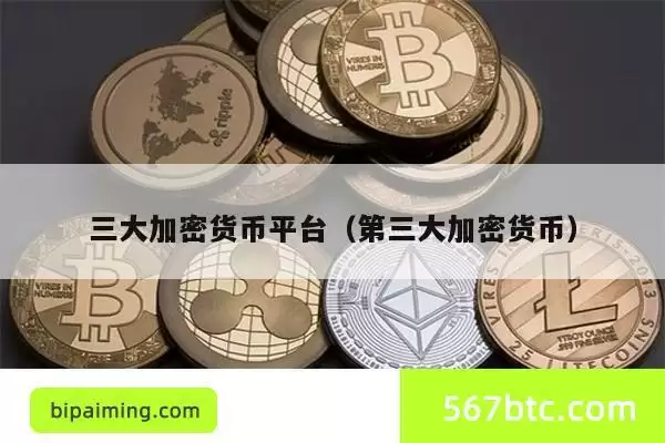 三大加密货币平台(第三大加密货币)
