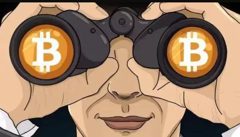 2026年1月最值得投资的十大加密货币 - 菜鸟下载