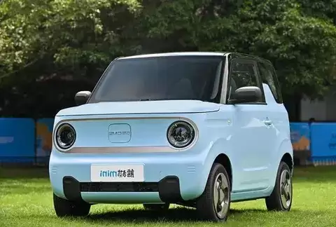 中美电动汽车市场分化：美遇政策瓶颈，中拓海外多元布局