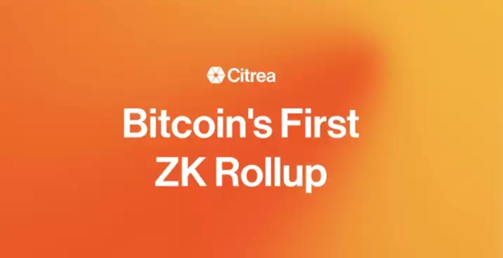 什么是ZK-Rollup?zkSync和Starknet的技术路径有何不同 - 菜鸟下载