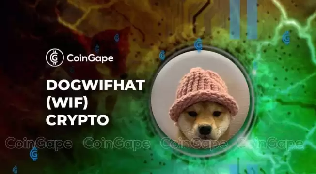 WIF(dogwifhat)是什么?这只戴帽子的狗为何能成为Solana上的Meme之王? - 菜鸟下载