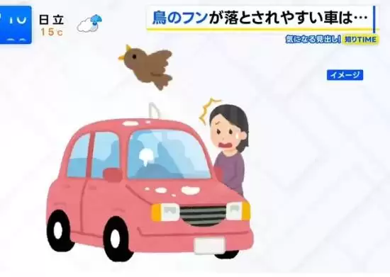 哪些车最招鸟粪？品牌颜色成关键因素