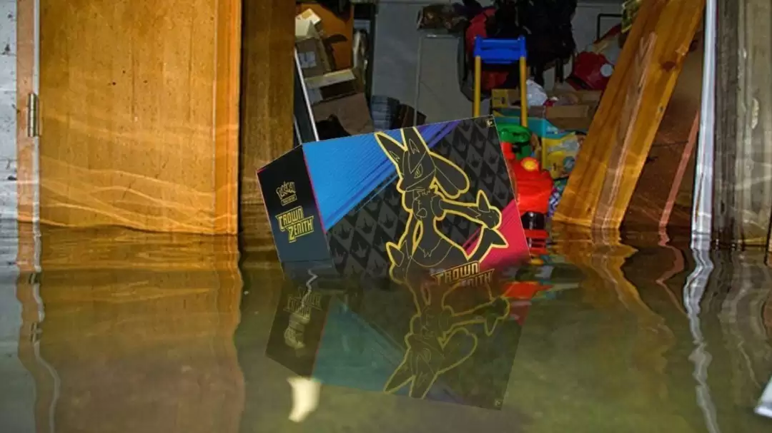 宝可梦卡片收藏毁于污水事故 情感与经济损失巨大