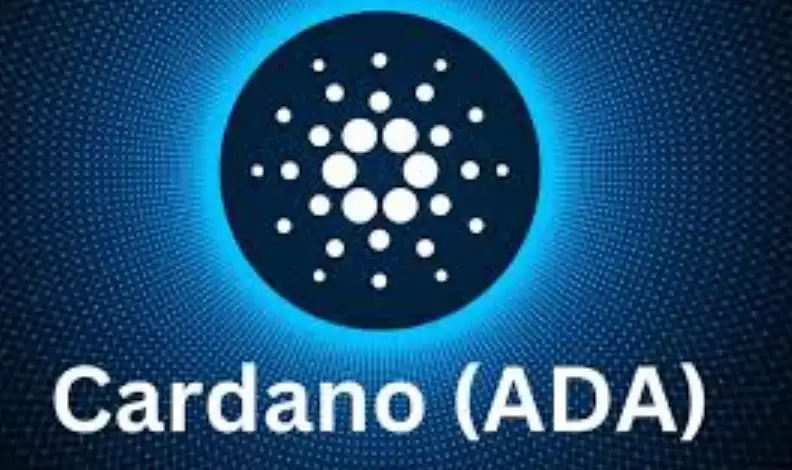 2026年虚拟币排名!2026年全球十大虚拟加密货币一览 - 菜鸟下载