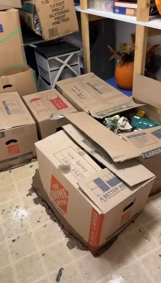 污水突袭致宝可梦卡牌收藏尽毁