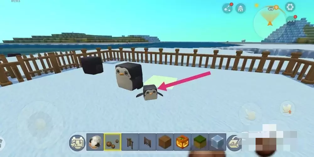 迷你世界企鹅用什么驯服?