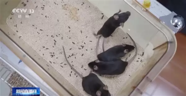 大红屏！神21发射圆满成功：准确进入预定轨道