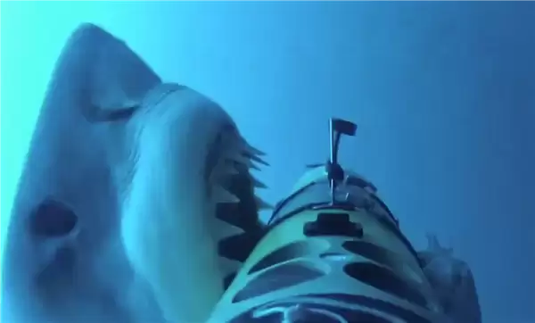 美国“光鱼”无人水面艇遭鲨鱼袭击 摄像头拍到惊愕一幕