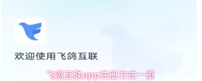 飞鸽互联app注册方式一览