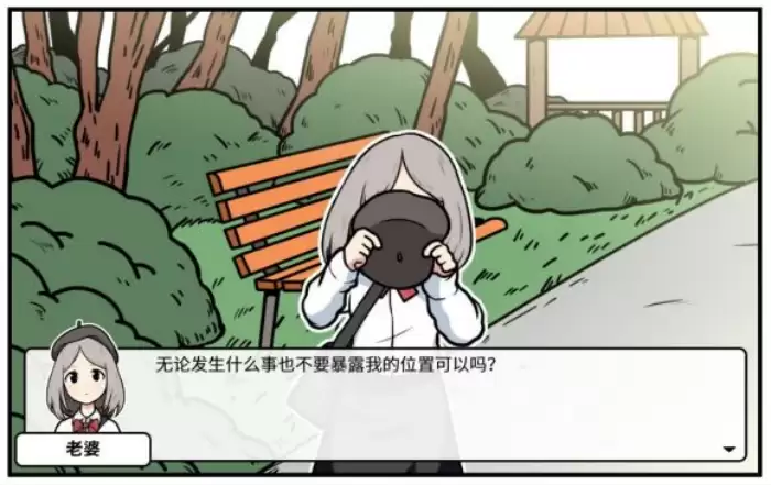 《少年的人间奇遇》老婆线第四章重遇老婆通关攻略