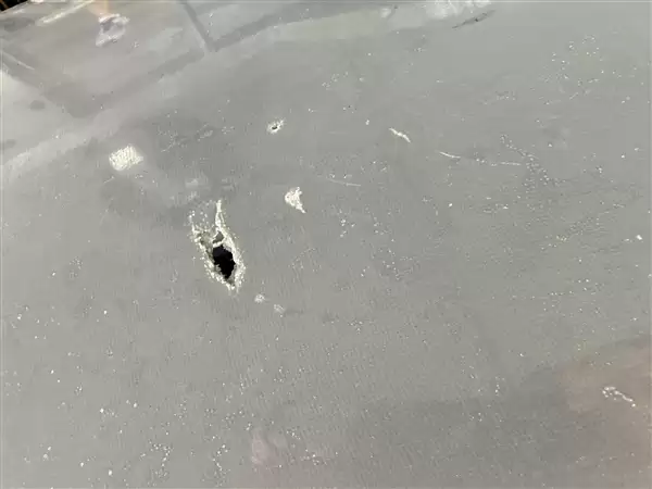 美国“光鱼”无人水面艇遭鲨鱼袭击 摄像头拍到惊愕一幕