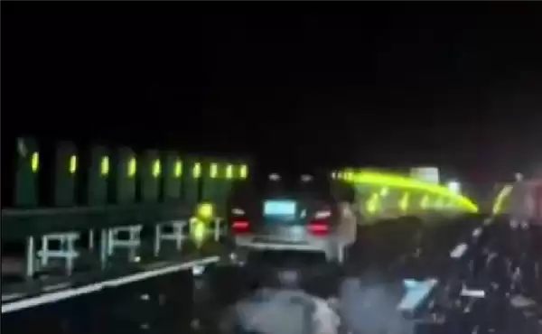 雪天路滑一轿车与黑熊相撞 交警回应：野生动物不受控制不会受罚