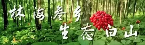 保时捷三季度亏损80亿，电动化转型受挫致全年利润暴跌