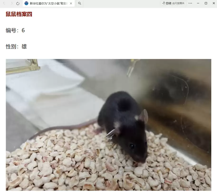 我国四只老鼠“航天员”档案公布，目前状态活泼“感觉”良好