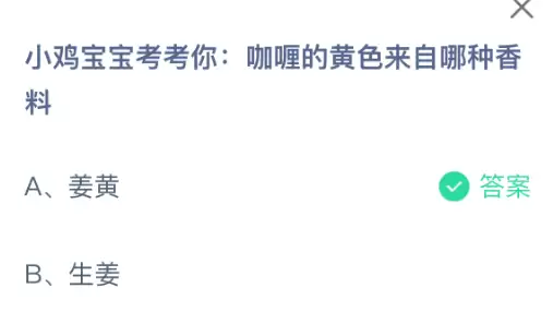 小鸡宝宝考考你：咖喱的黄色来自哪种香料