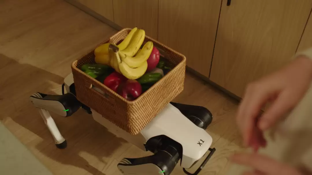 7499 元全球首款家庭智能机器人：越疆 Rover X1 机器狗发布，能搬东西能跟拍