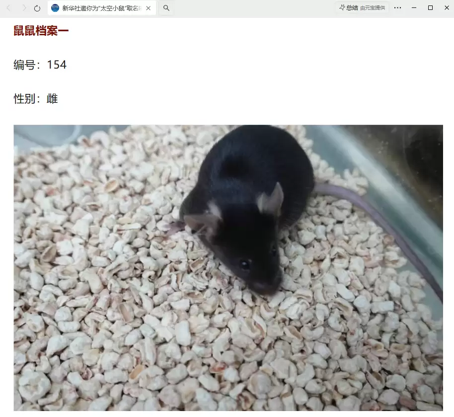 我国四只老鼠“航天员”档案公布，目前状态活泼“感觉”良好