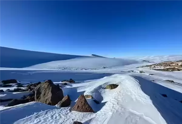 内含史前空气!科学家在南极挖到至今最古老的“冰时间胶囊”