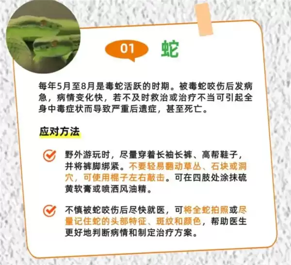 广州一居民家中出现蛇 物业：宠物蛇 已加强管理