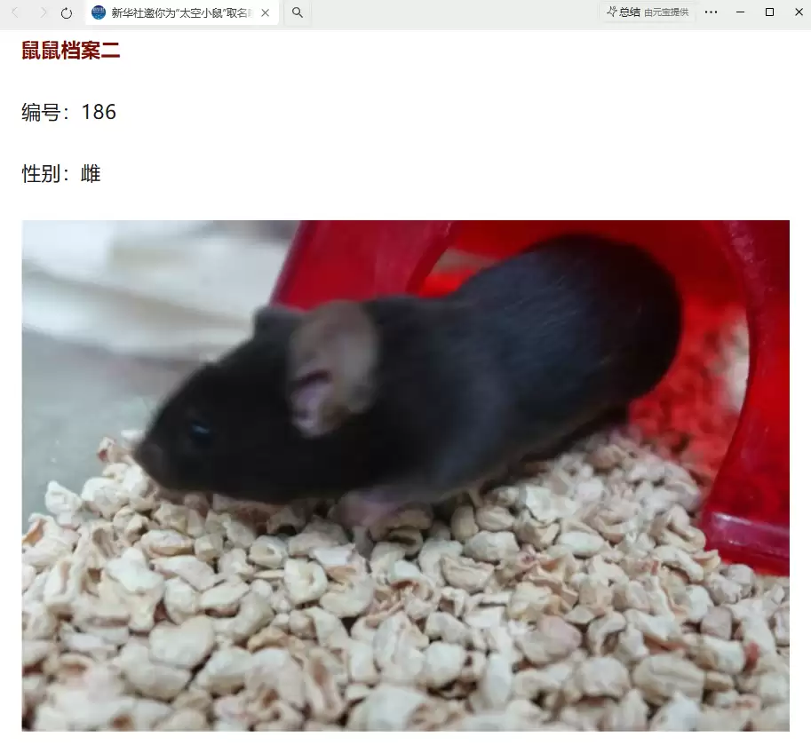 我国四只老鼠“航天员”档案公布，目前状态活泼“感觉”良好