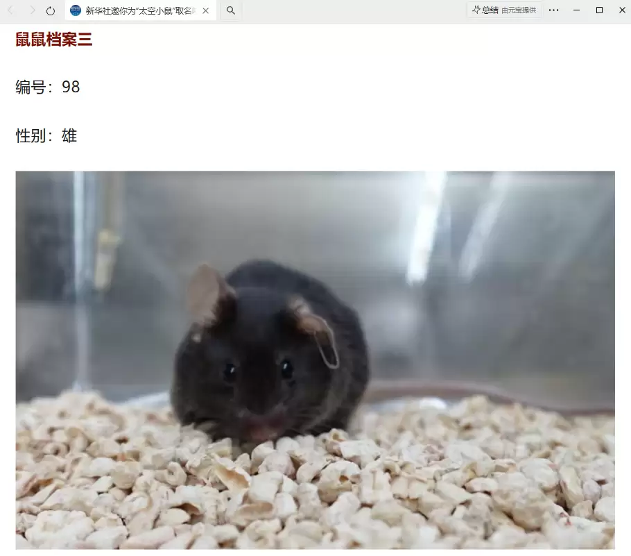 我国四只老鼠“航天员”档案公布，目前状态活泼“感觉”良好