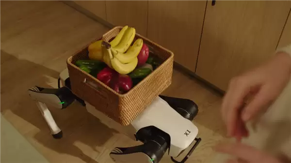 全球首款家庭智能机器人!越疆Rover X1发布:7499元 支持安防、情感陪伴