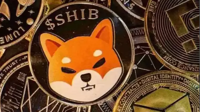 SHIB币价格预测:燃烧机制能否助其再创千倍神话? - 菜鸟下载