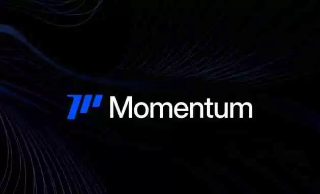 什么是Momentum(MMT)币?它是如何运作的?Momentum运作方式、代币经济及路线图介绍