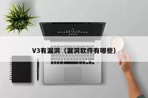 V3有漏洞（漏洞软件有哪些）